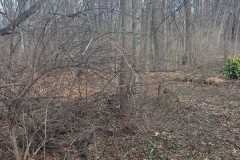 A.C.-Tree-Service-LLC-91-Manor-Dr-Hagerstown-MD-21740-1-301-302-6467-280