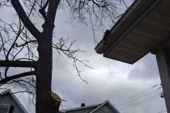 A.C.-Tree-Service-LLC-91-Manor-Dr-Hagerstown-MD-21740-1-301-302-6467-281
