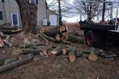 A.C.-Tree-Service-LLC-91-Manor-Dr-Hagerstown-MD-21740-1-301-302-6467-282