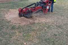 A.C.-Tree-Service-LLC-91-Manor-Dr-Hagerstown-MD-21740-1-301-302-6467-286