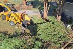 A.C.-Tree-Service-LLC-91-Manor-Dr-Hagerstown-MD-21740-1-301-302-6467-288