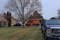 A.C.-Tree-Service-LLC-91-Manor-Dr-Hagerstown-MD-21740-1-301-302-6467-290