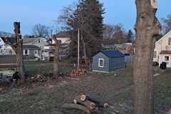 A.C.-Tree-Service-LLC-91-Manor-Dr-Hagerstown-MD-21740-1-301-302-6467-291