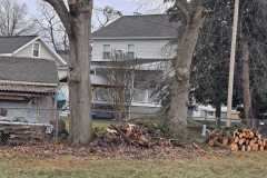 A.C.-Tree-Service-LLC-91-Manor-Dr-Hagerstown-MD-21740-1-301-302-6467-292