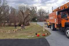 A.C.-Tree-Service-LLC-91-Manor-Dr-Hagerstown-MD-21740-1-301-302-6467-293
