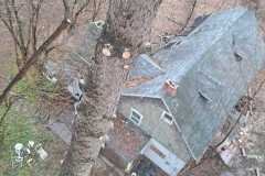 A.C.-Tree-Service-LLC-91-Manor-Dr-Hagerstown-MD-21740-1-301-302-6467-296