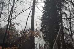 A.C.-Tree-Service-LLC-91-Manor-Dr-Hagerstown-MD-21740-1-301-302-6467-297