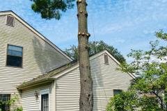 A.C.-Tree-Service-LLC-91-Manor-Dr-Hagerstown-MD-21740-1-301-302-6467-30