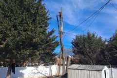 A.C.-Tree-Service-LLC-91-Manor-Dr-Hagerstown-MD-21740-1-301-302-6467-301