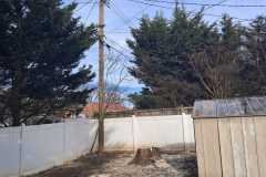 A.C.-Tree-Service-LLC-91-Manor-Dr-Hagerstown-MD-21740-1-301-302-6467-302