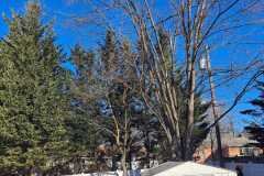 A.C.-Tree-Service-LLC-91-Manor-Dr-Hagerstown-MD-21740-1-301-302-6467-303