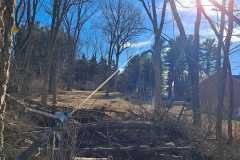 A.C.-Tree-Service-LLC-91-Manor-Dr-Hagerstown-MD-21740-1-301-302-6467-304