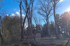 A.C.-Tree-Service-LLC-91-Manor-Dr-Hagerstown-MD-21740-1-301-302-6467-307