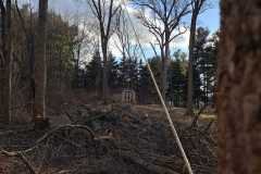 A.C.-Tree-Service-LLC-91-Manor-Dr-Hagerstown-MD-21740-1-301-302-6467-308