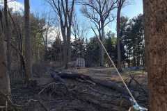 A.C.-Tree-Service-LLC-91-Manor-Dr-Hagerstown-MD-21740-1-301-302-6467-309