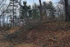 A.C.-Tree-Service-LLC-91-Manor-Dr-Hagerstown-MD-21740-1-301-302-6467-311