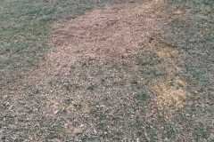 A.C.-Tree-Service-LLC-91-Manor-Dr-Hagerstown-MD-21740-1-301-302-6467-312