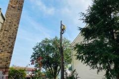A.C.-Tree-Service-LLC-91-Manor-Dr-Hagerstown-MD-21740-1-301-302-6467-37
