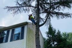 A.C.-Tree-Service-LLC-91-Manor-Dr-Hagerstown-MD-21740-1-301-302-6467-43