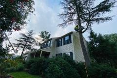 A.C.-Tree-Service-LLC-91-Manor-Dr-Hagerstown-MD-21740-1-301-302-6467-44