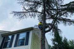 A.C.-Tree-Service-LLC-91-Manor-Dr-Hagerstown-MD-21740-1-301-302-6467-45