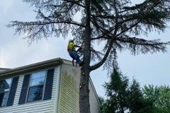 A.C.-Tree-Service-LLC-91-Manor-Dr-Hagerstown-MD-21740-1-301-302-6467-49