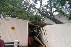 A.C.-Tree-Service-LLC-91-Manor-Dr-Hagerstown-MD-21740-1-301-302-6467-50
