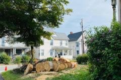 A.C.-Tree-Service-LLC-91-Manor-Dr-Hagerstown-MD-21740-1-301-302-6467-51