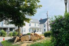A.C.-Tree-Service-LLC-91-Manor-Dr-Hagerstown-MD-21740-1-301-302-6467-53