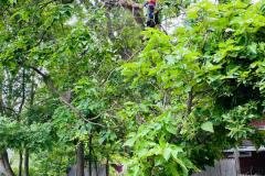 A.C.-Tree-Service-LLC-91-Manor-Dr-Hagerstown-MD-21740-1-301-302-6467-55