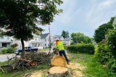 A.C.-Tree-Service-LLC-91-Manor-Dr-Hagerstown-MD-21740-1-301-302-6467-58