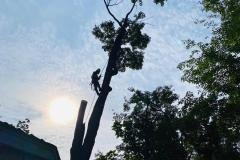A.C.-Tree-Service-LLC-91-Manor-Dr-Hagerstown-MD-21740-1-301-302-6467-63