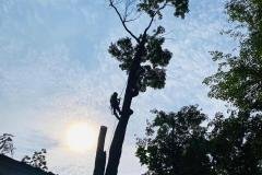 A.C.-Tree-Service-LLC-91-Manor-Dr-Hagerstown-MD-21740-1-301-302-6467-64