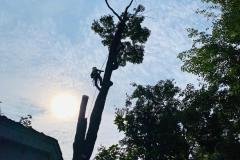 A.C.-Tree-Service-LLC-91-Manor-Dr-Hagerstown-MD-21740-1-301-302-6467-66