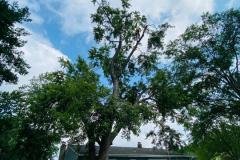 A.C.-Tree-Service-LLC-91-Manor-Dr-Hagerstown-MD-21740-1-301-302-6467-78
