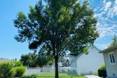 A.C.-Tree-Service-LLC-91-Manor-Dr-Hagerstown-MD-21740-1-301-302-6467-8