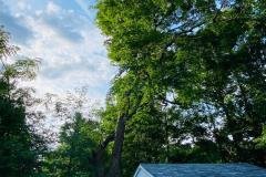 A.C.-Tree-Service-LLC-91-Manor-Dr-Hagerstown-MD-21740-1-301-302-6467-81