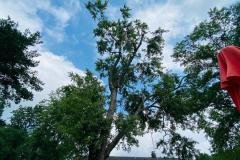 A.C.-Tree-Service-LLC-91-Manor-Dr-Hagerstown-MD-21740-1-301-302-6467-85