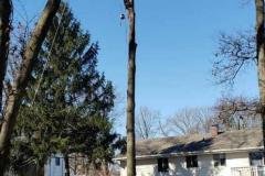 A.C.-Tree-Service-LLC-91-Manor-Dr-Hagerstown-MD-21740-1-301-302-6467-9