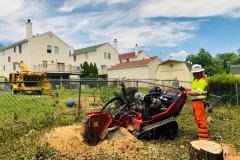 AC-Tree-Service-LLC-301-302-6467