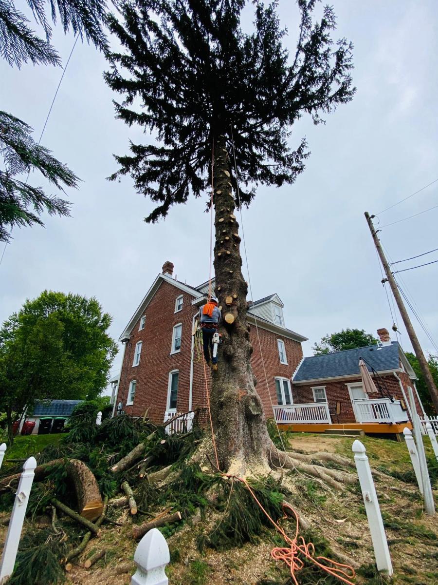 A.C.-Tree-Service-LLC-91-Manor-Dr-Hagerstown-MD-21740-1-301-302-6467-17