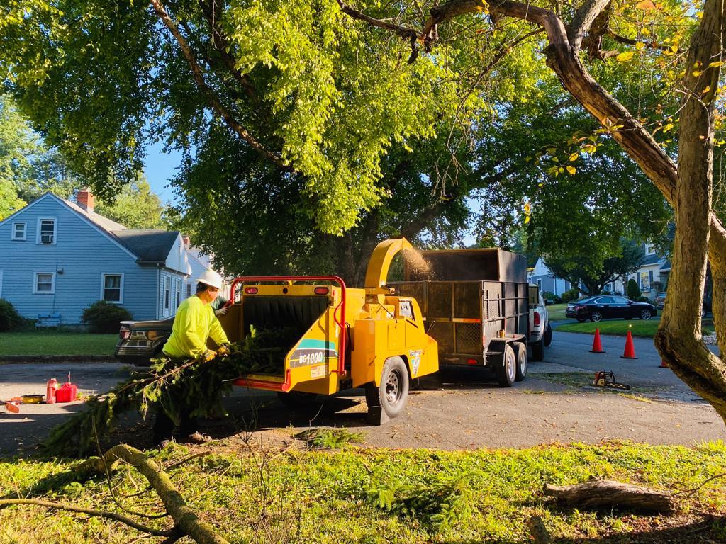 A.C.-Tree-Service-LLC-91-Manor-Dr-Hagerstown-MD-21740-1-301-302-6467-18