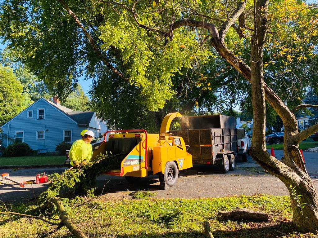 A.C.-Tree-Service-LLC-91-Manor-Dr-Hagerstown-MD-21740-1-301-302-6467-20