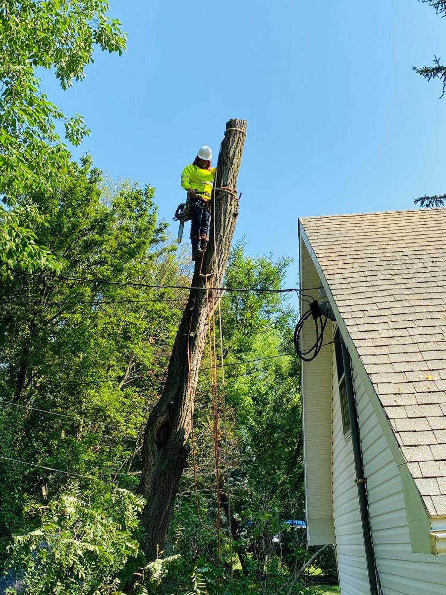 A.C.-Tree-Service-LLC-91-Manor-Dr-Hagerstown-MD-21740-1-301-302-6467-25