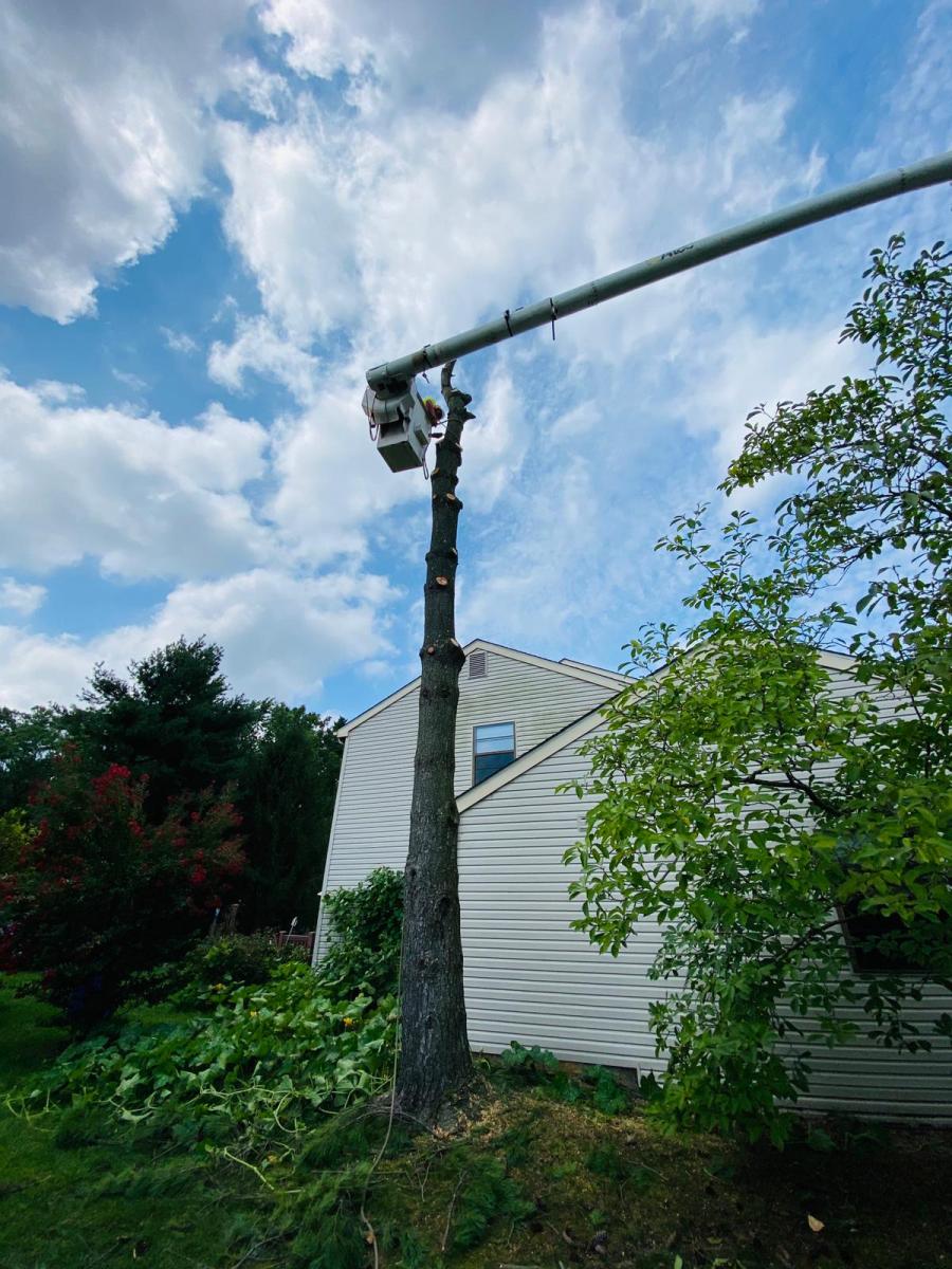 A.C.-Tree-Service-LLC-91-Manor-Dr-Hagerstown-MD-21740-1-301-302-6467-26