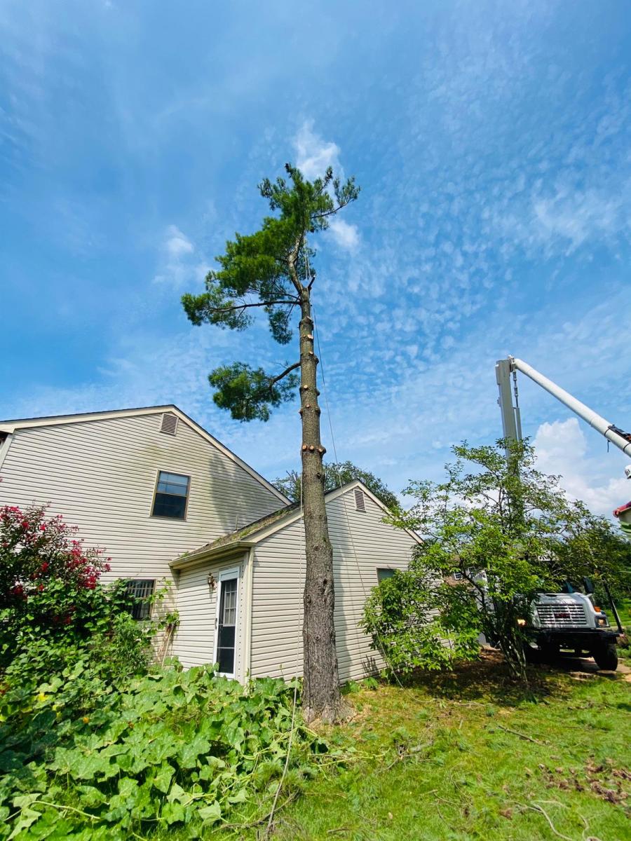 A.C.-Tree-Service-LLC-91-Manor-Dr-Hagerstown-MD-21740-1-301-302-6467-36