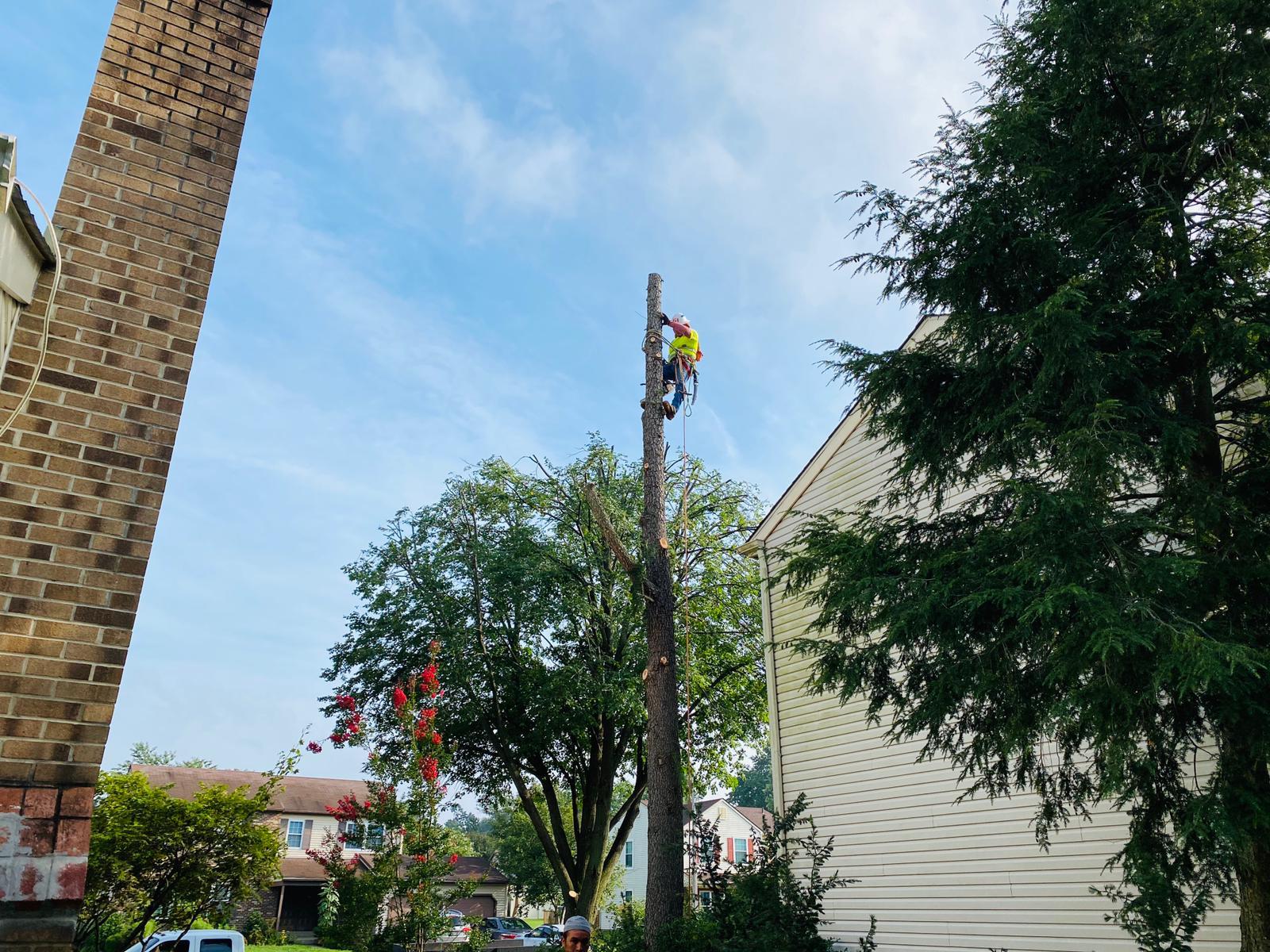 A.C.-Tree-Service-LLC-91-Manor-Dr-Hagerstown-MD-21740-1-301-302-6467-37
