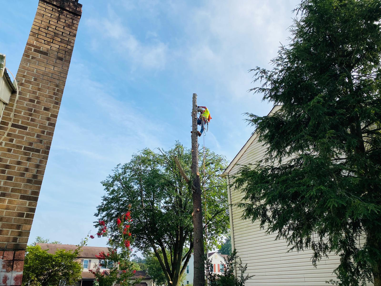 A.C.-Tree-Service-LLC-91-Manor-Dr-Hagerstown-MD-21740-1-301-302-6467-40