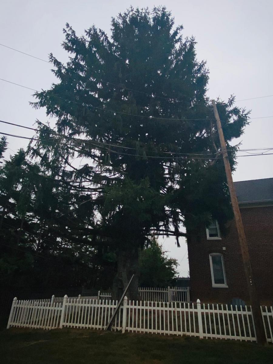 A.C.-Tree-Service-LLC-91-Manor-Dr-Hagerstown-MD-21740-1-301-302-6467-7