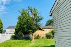 A.C.-Tree-Service-LLC-91-Manor-Dr-Hagerstown-MD-21740-1-301-302-6467-12